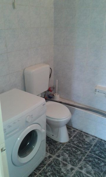 Stefan cel Mare, Nastase Pamfil